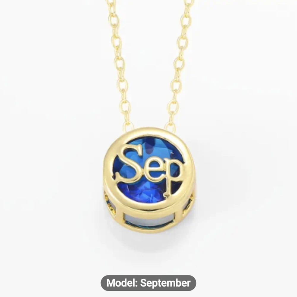 🎉🎉NEW🎉🎉 PRETTY!! Stainless Steel BLUE SEPTEMBER CZ Charm Necklace